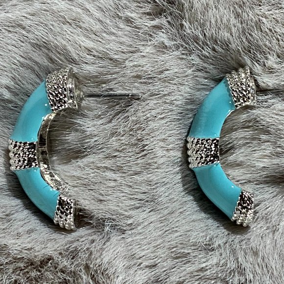 Landau silver and turquoise enamel earrings - Picture 3 of 6